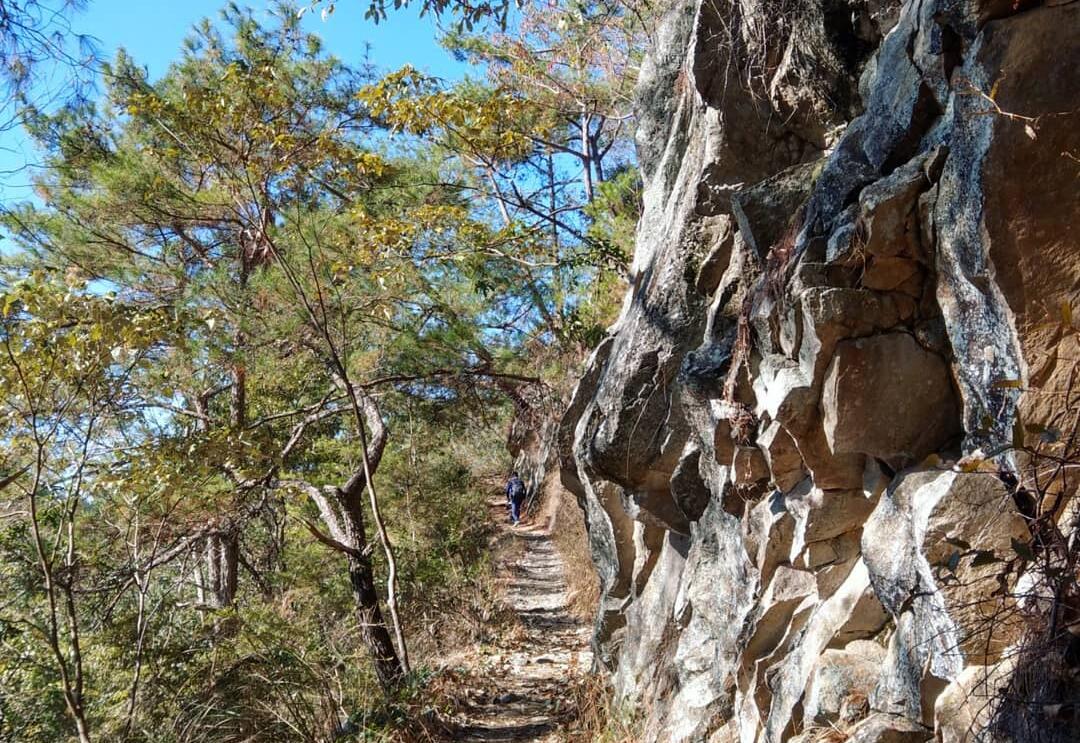 東卯山