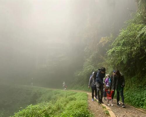 特富野