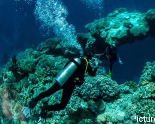 SG-Content-4-5-breathtaking-scuba-diving-spots