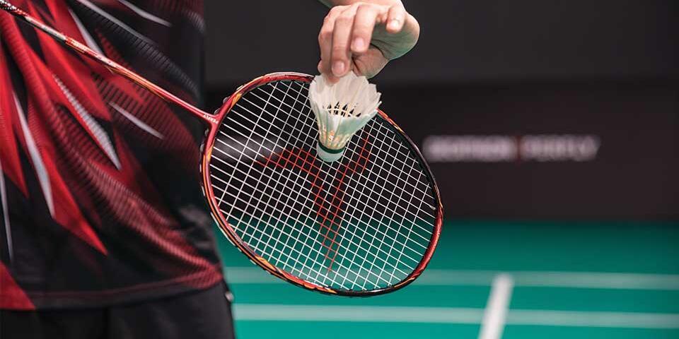 En bild på en racket och en badmintonboll