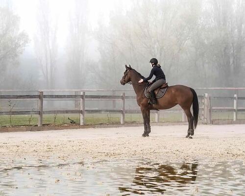 Woman on a horse