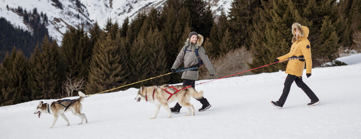 have you ever heard of cani-hiking or cani-snowshoeing?