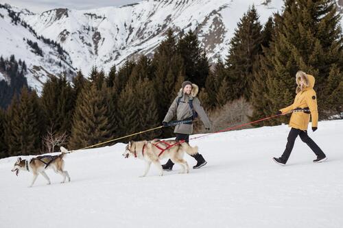 cani-hiking or cani-snowshoeing, have you ever heard of - teaser