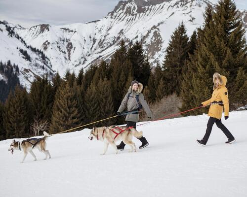 cani-hiking or cani-snowshoeing, have you ever heard of - teaser