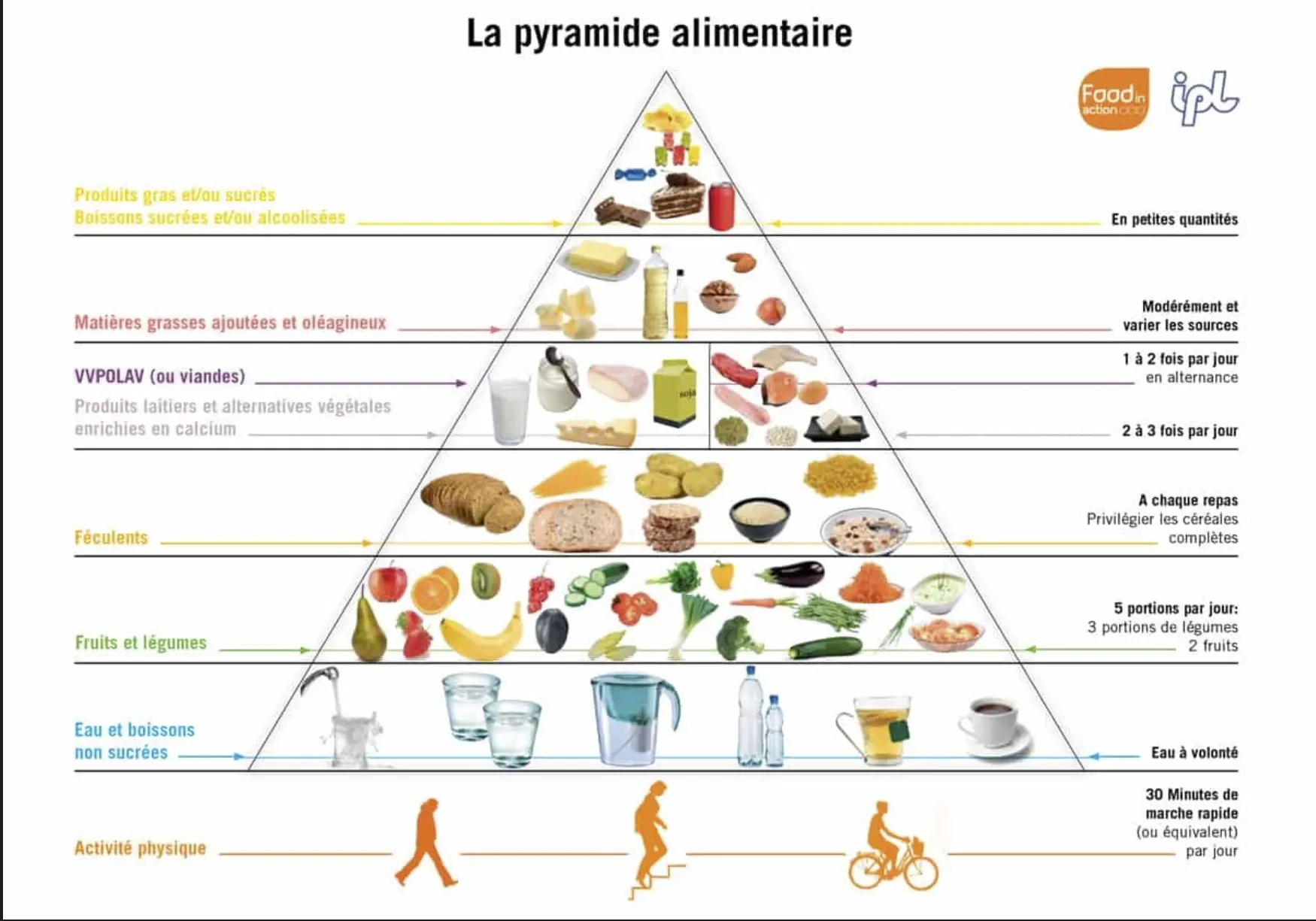 La pyramide alimentaire