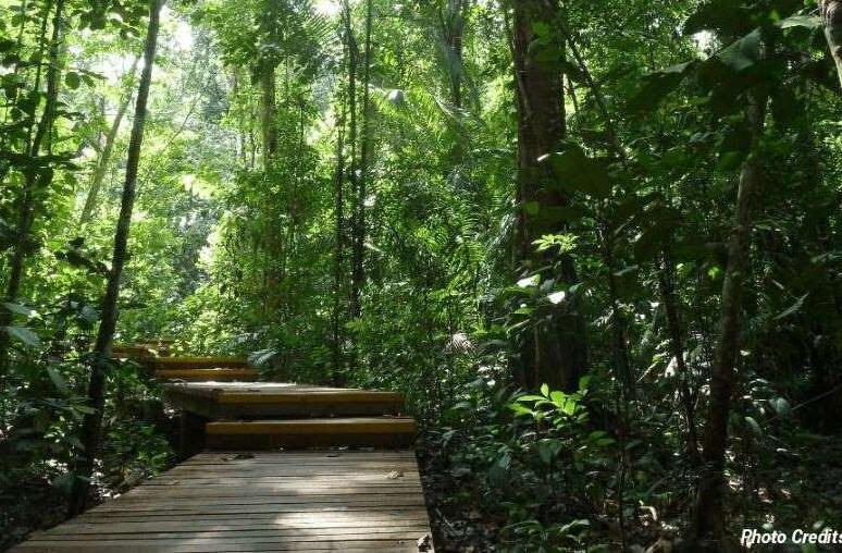 6 Secret Places To Hike In Singapore