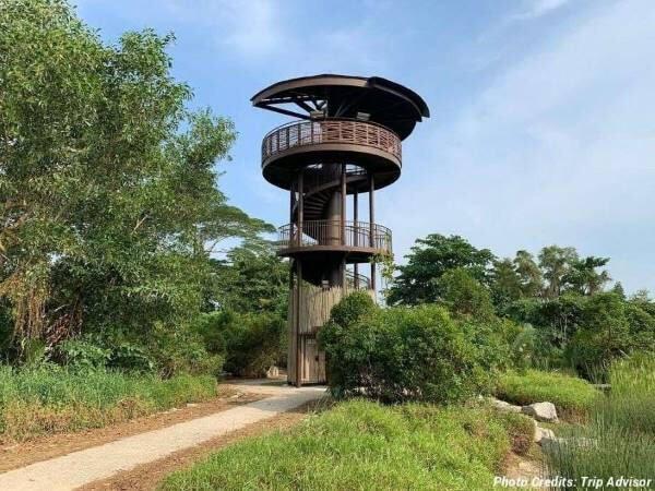 6-secret-places-to-hike-in-singapore