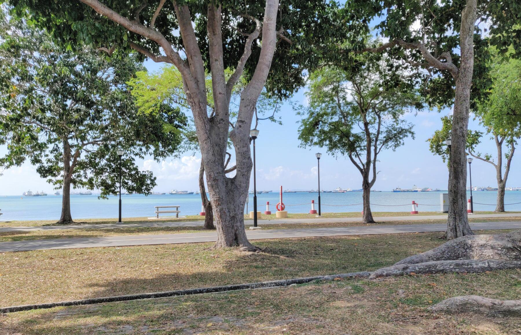 Scenic Cycling Routes in Singapore Part 1: East Coast Park