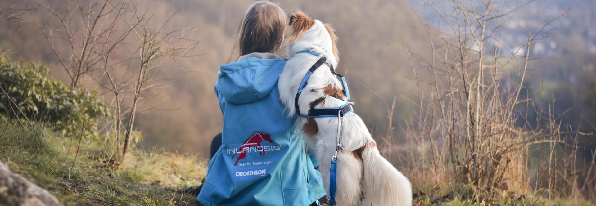 Urlaub für Zwei- und Vierbeiner: Camping mit Hund