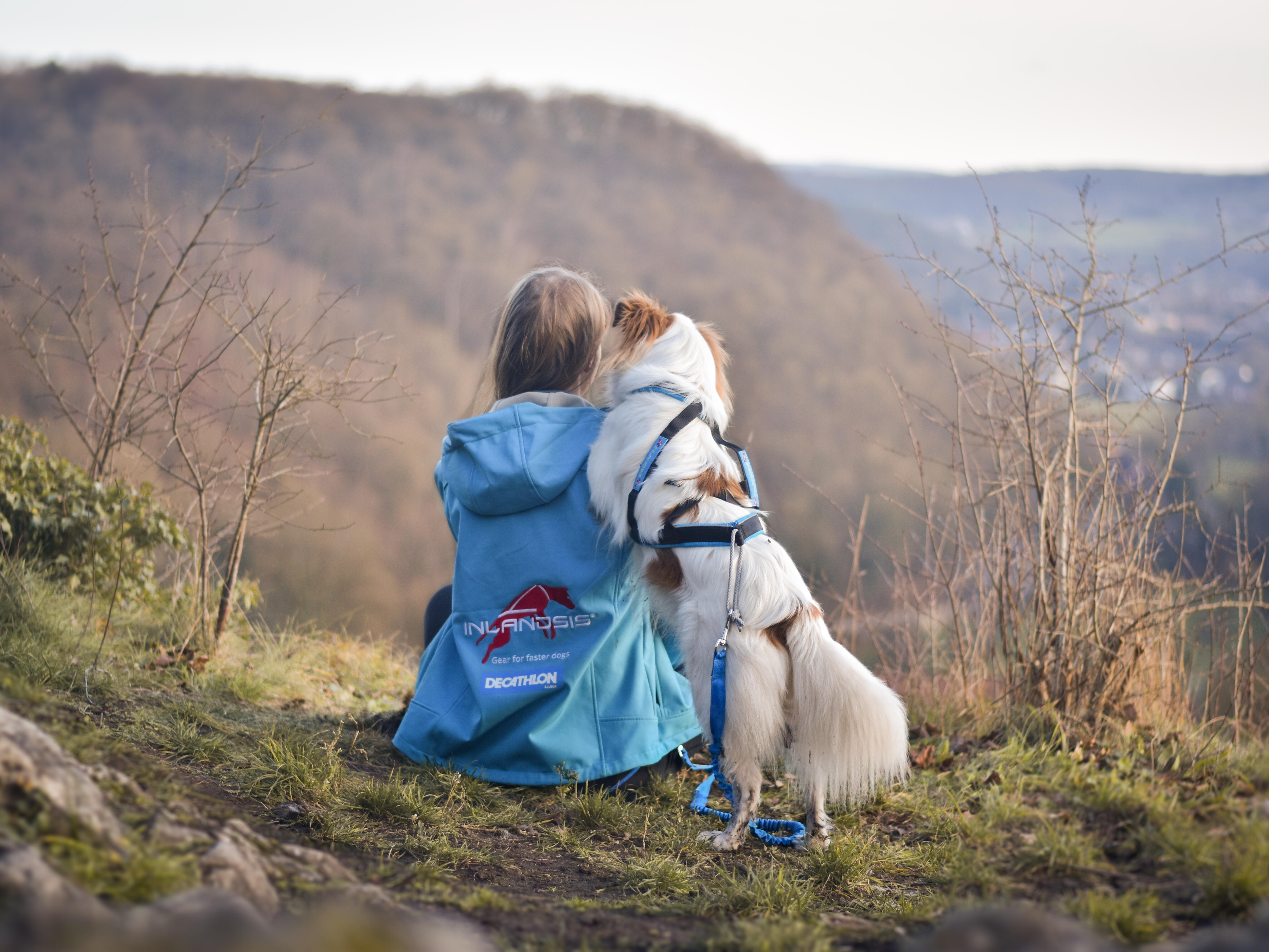 Urlaub für Zwei- und Vierbeiner: Camping mit Hund - Decathlon