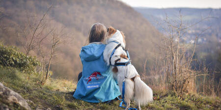 Pratiquer les sports canins 