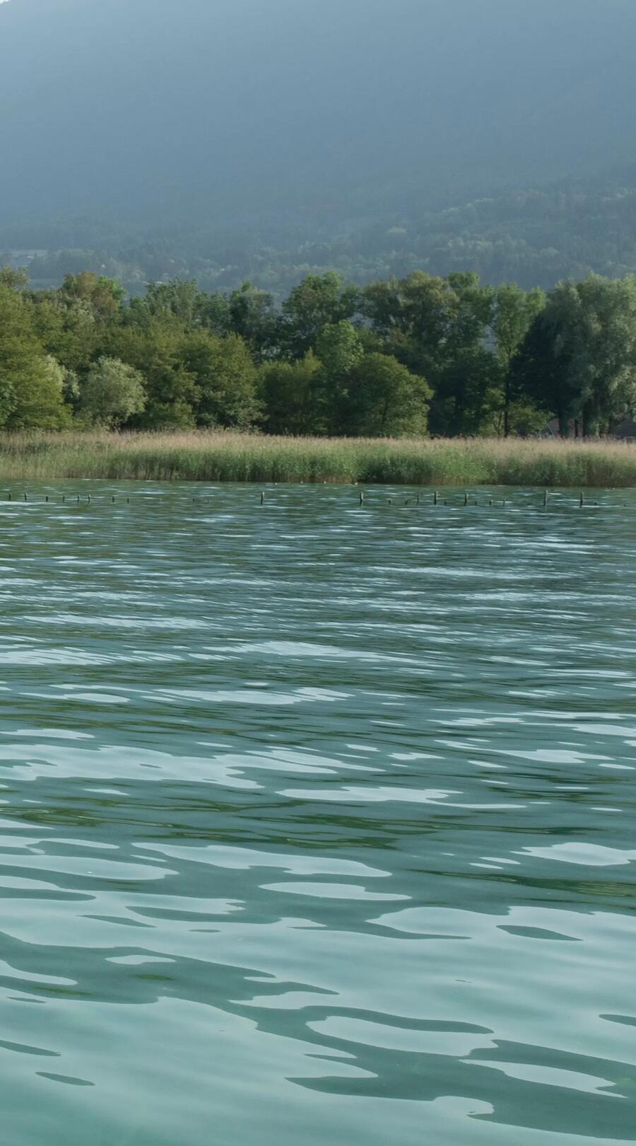 landscape of a lake on a misty day