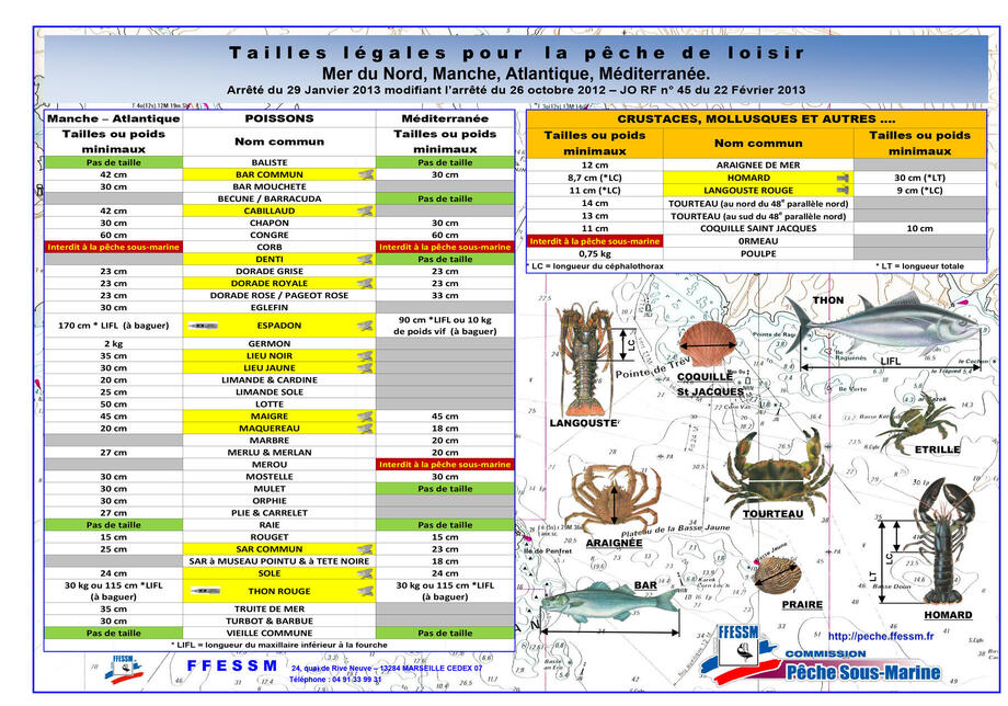 tableau mailles légales biologiques atlantique manche mer du nord chasse sous-marine subea tableau mailles légales biologiques atlantique manche mer du nord chasse sous-marine subea
