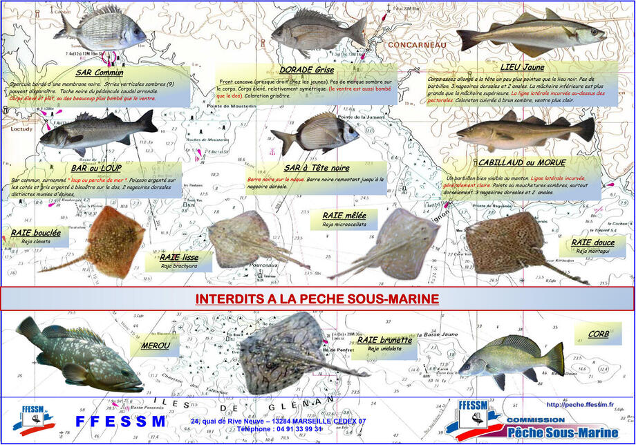 tableau-des-mailles tableau-des-mailles