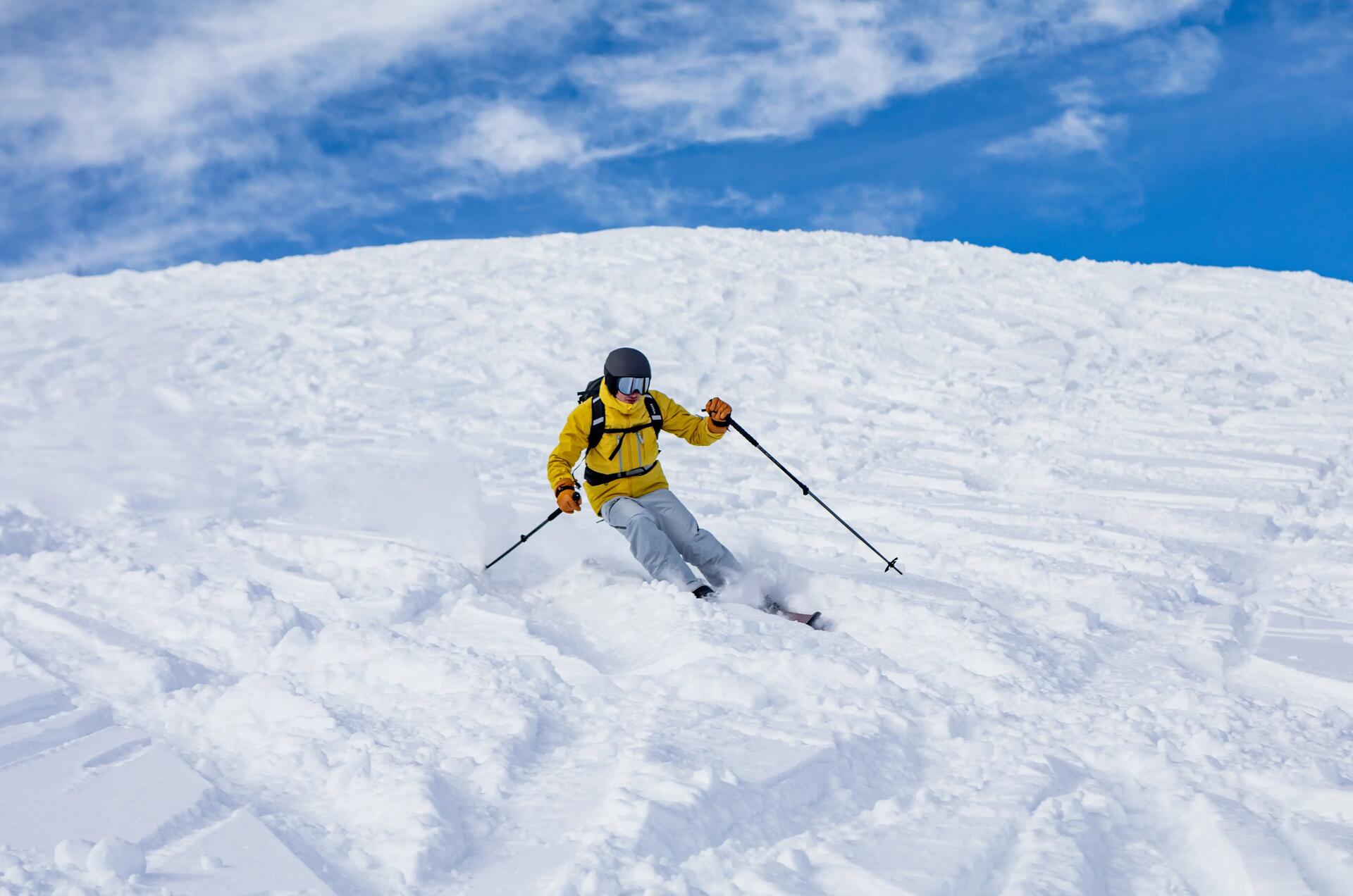 freeride comment choisir son ski
