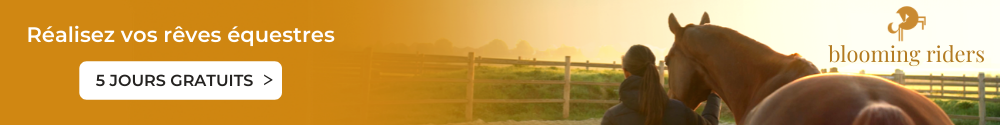 Bandeau de Blooming Riders, application avec exercices pour améliorer l'entraînement du cheval et la relation être humain et cheval