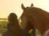 signature Blooming Riders avec photo d'un cheval et de sa cavalière de dos en liberté face au soleil couchant