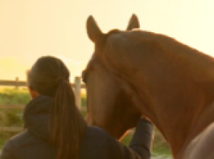 signature Blooming Riders avec photo d'un cheval et de sa cavalière de dos en liberté face au soleil couchant