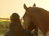 signature Blooming Riders avec photo d'un cheval et de sa cavalière de dos en liberté face au soleil couchant