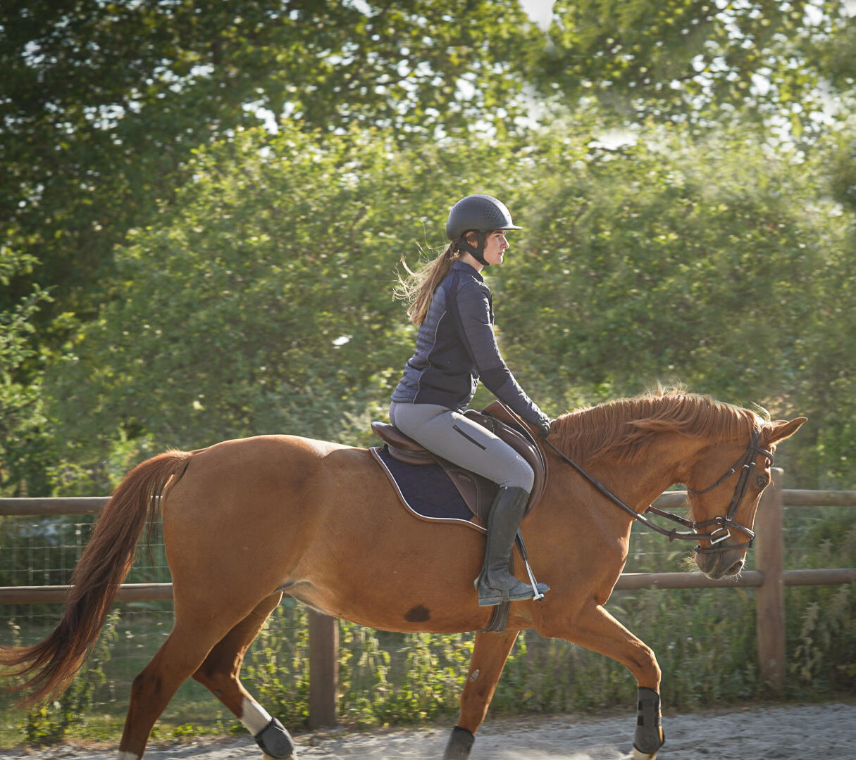 Cheval qui fait du trop en carrière avec une forêt en arrière plan