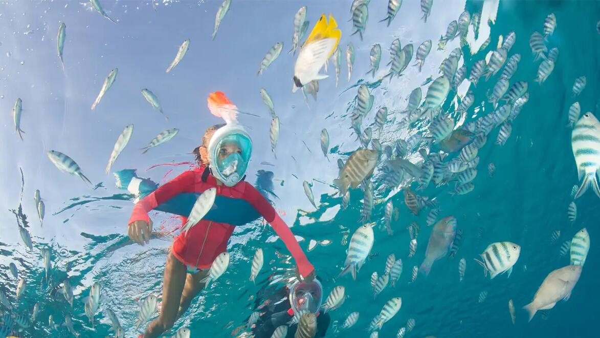 dziewczynka nurkująca w masce do snorkelingu 