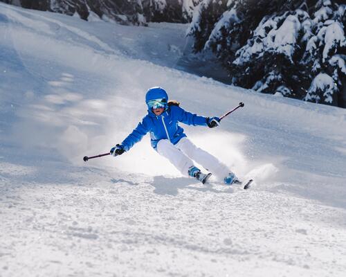 Which medal for which level of skiing: from the little ones (&quot;Pioupiou&quot; level) to the gold star skiers 