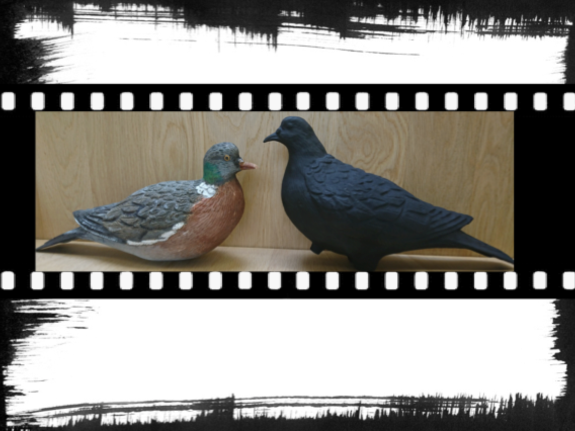 Blette de pigeon en bois et blette améliorée 3D