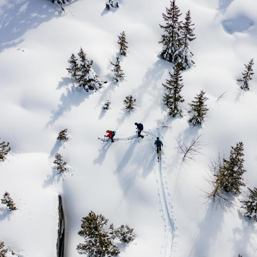 veste de ski de randonnée