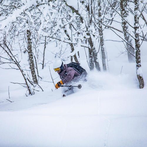 Freeriding Powder Chaser 