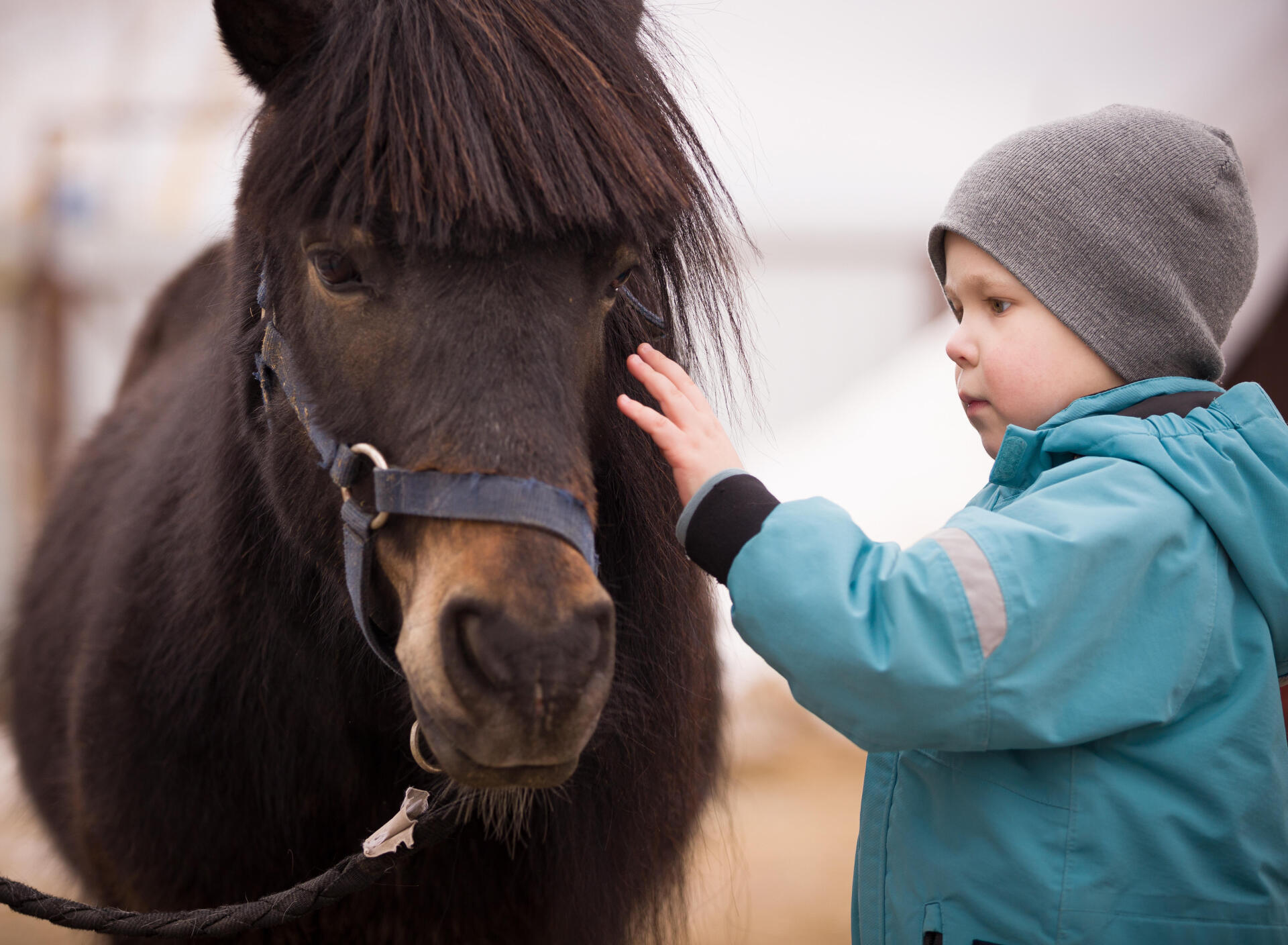 À quel âge peut-on commencer le poney ? Quels bienfaits pour l'enfant ?