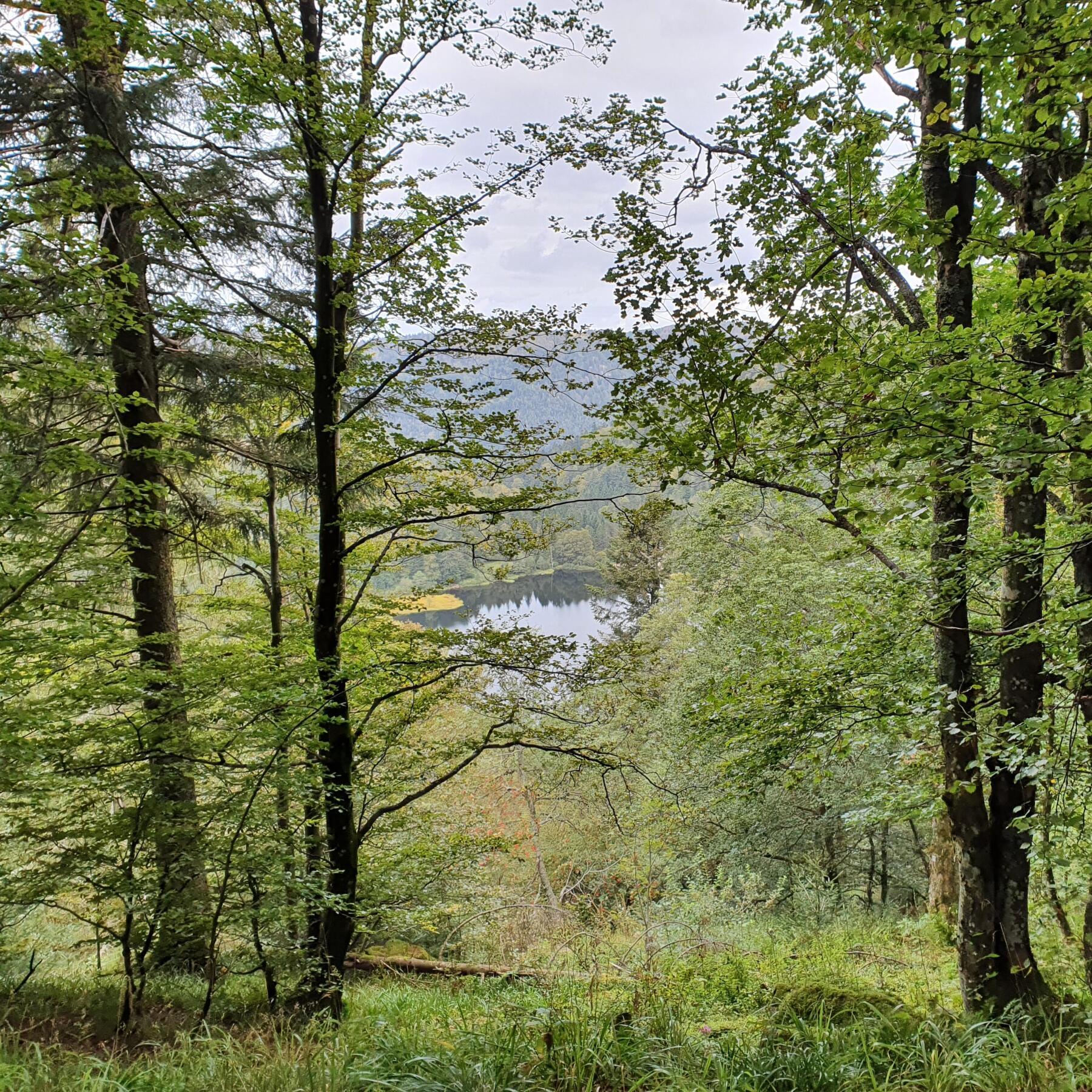 photo trek blanchemer dans les vosges