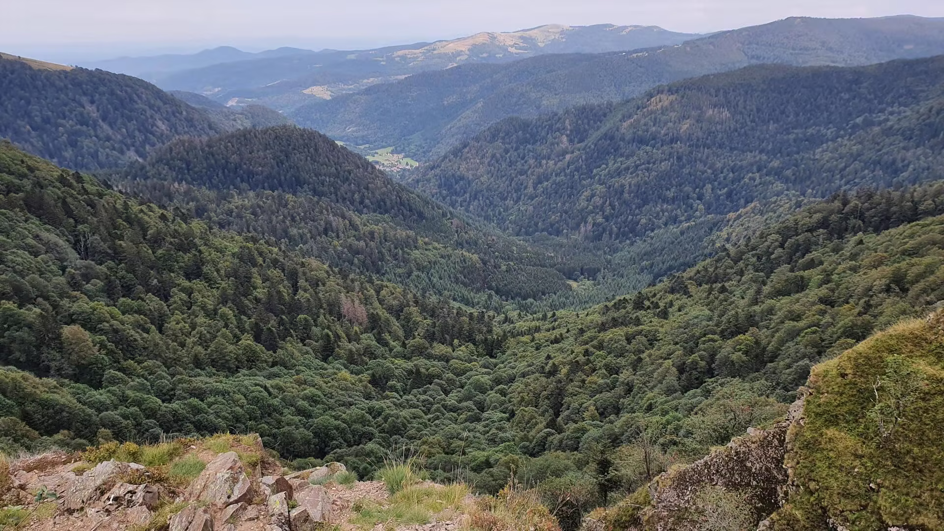 La montée au Rainkopf © La montée au Rainkopf