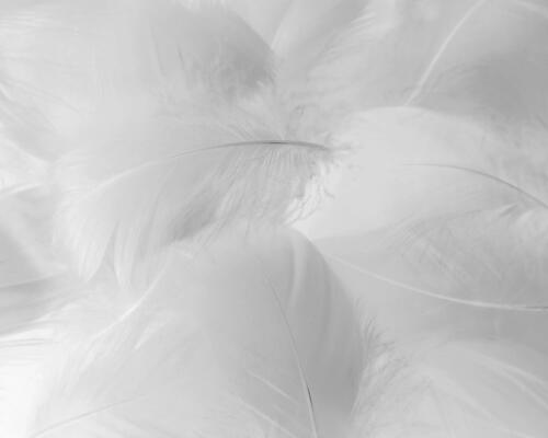 Doudoune à capuche en duvet de trek montagne Femme - MT500 -10 °C