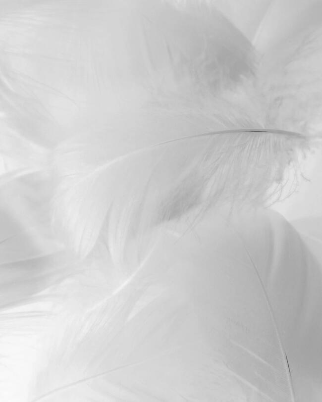 Daunenjacke für Trekking – MT500 –10 °C Herren