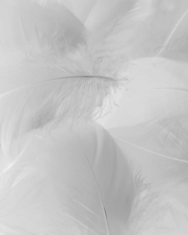 Damesdonsjas met capuchon voor bergtrekking - MT500 -10°C