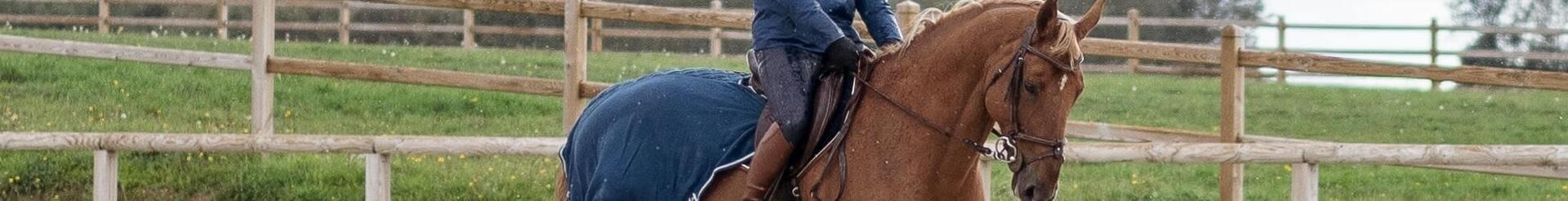 Horse Riding / Equestrian Sports