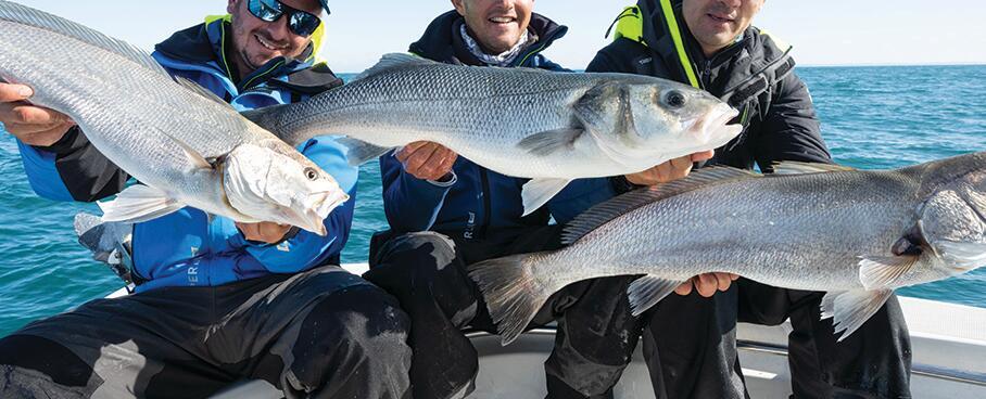 Réussir ses premières pêches en bord de mer