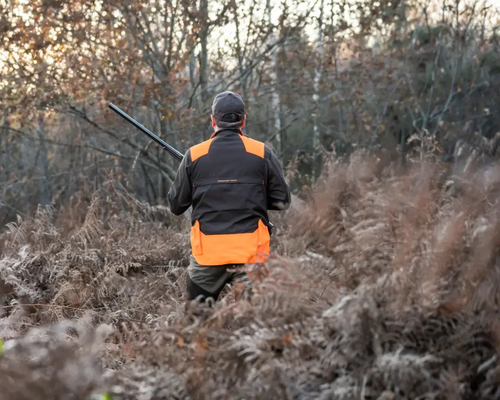 A la chasse de la bécasse