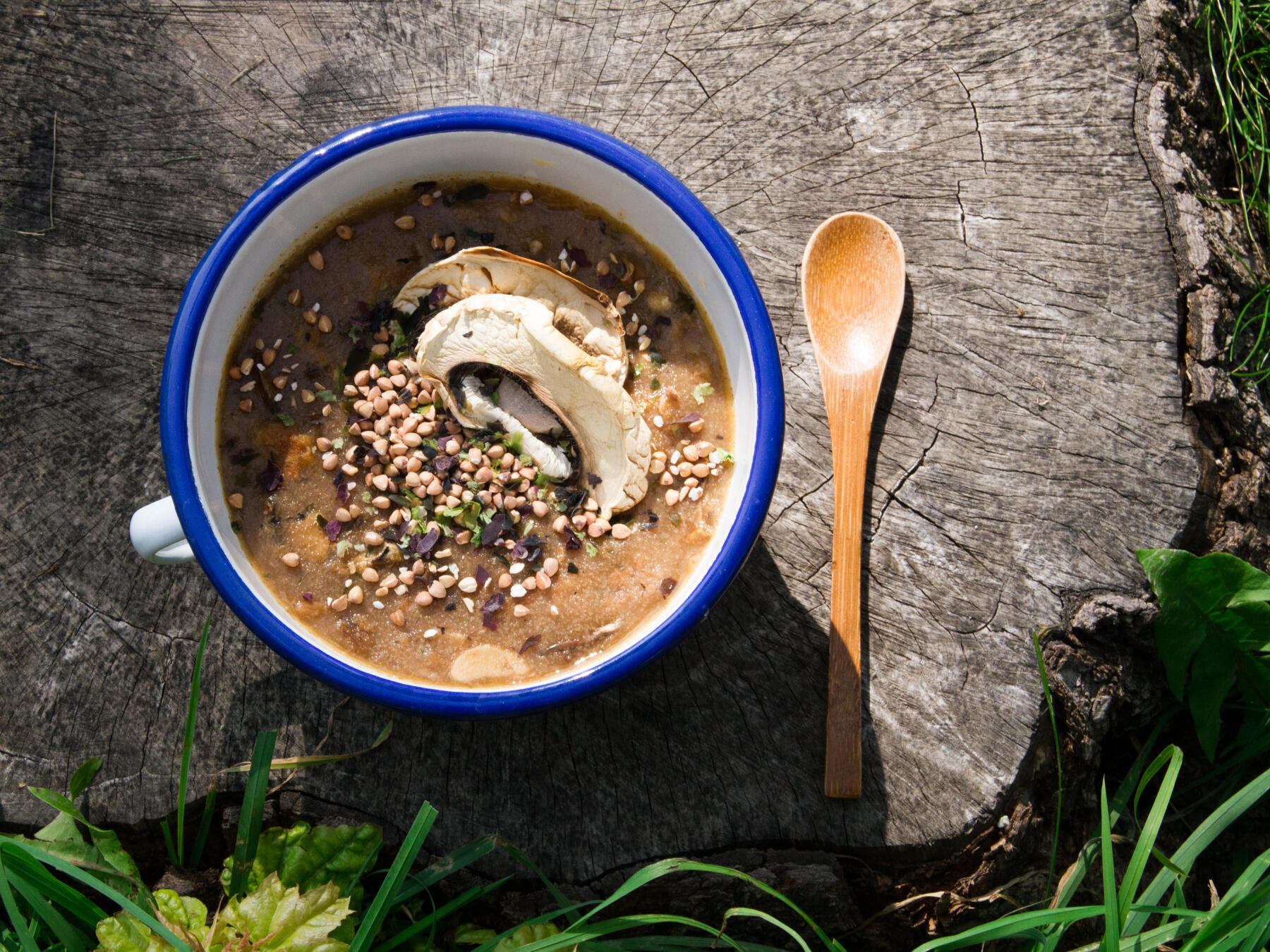 Recette de trek : soupe veloutée aux champignons