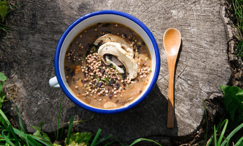 Recette de trek : soupe veloutée aux champignons