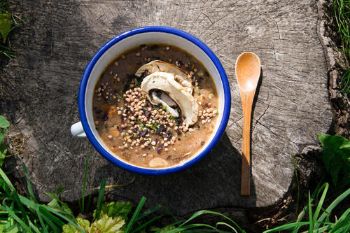 TREKKING RECIPE: velvety mushroom soup