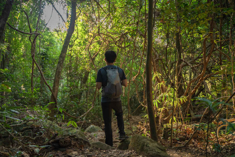 how to choose hiking backpack