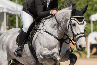 Tamara Ducatel, Boisbriand horseback riding consultant