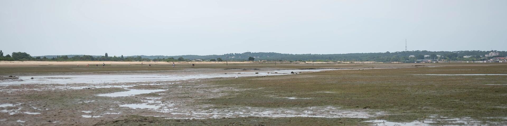 Pêche à pied aux engin, comment choisir et comment faire ?