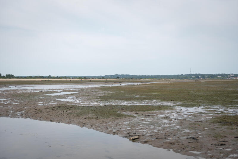 Pêche à pied aux engin, comment choisir et comment faire ?