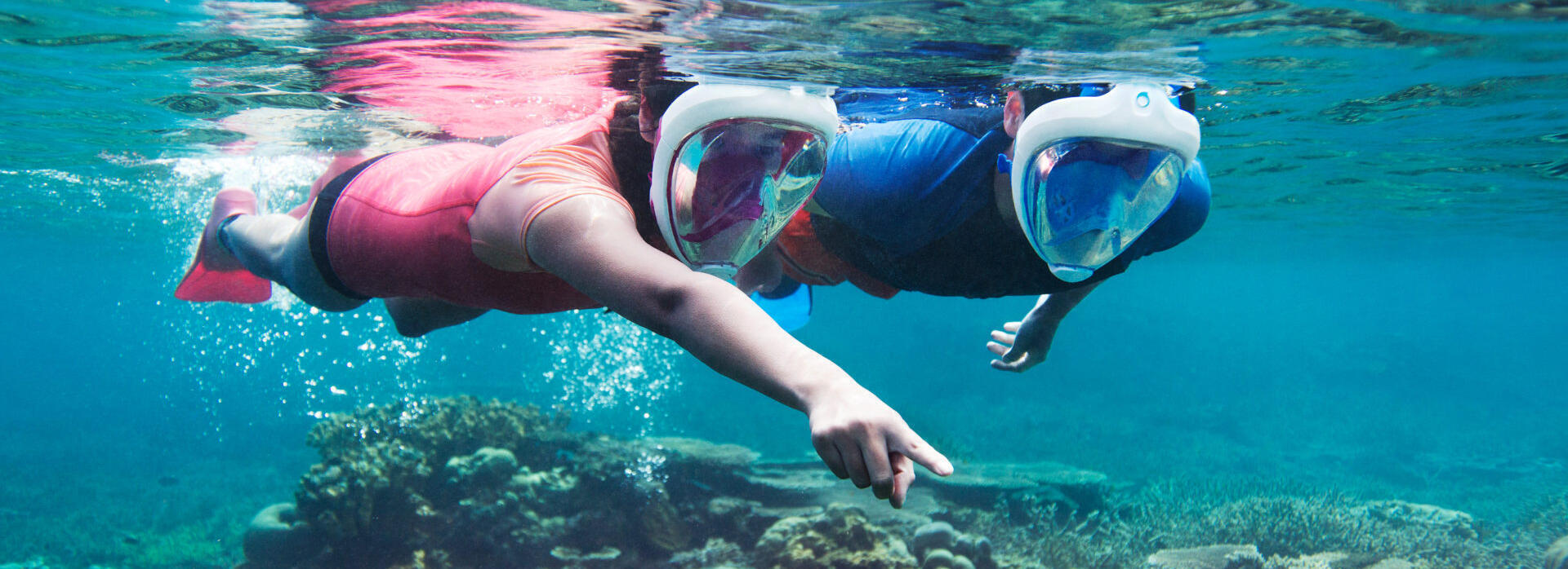À descoberta dos gestos ecológicos no snorkeling