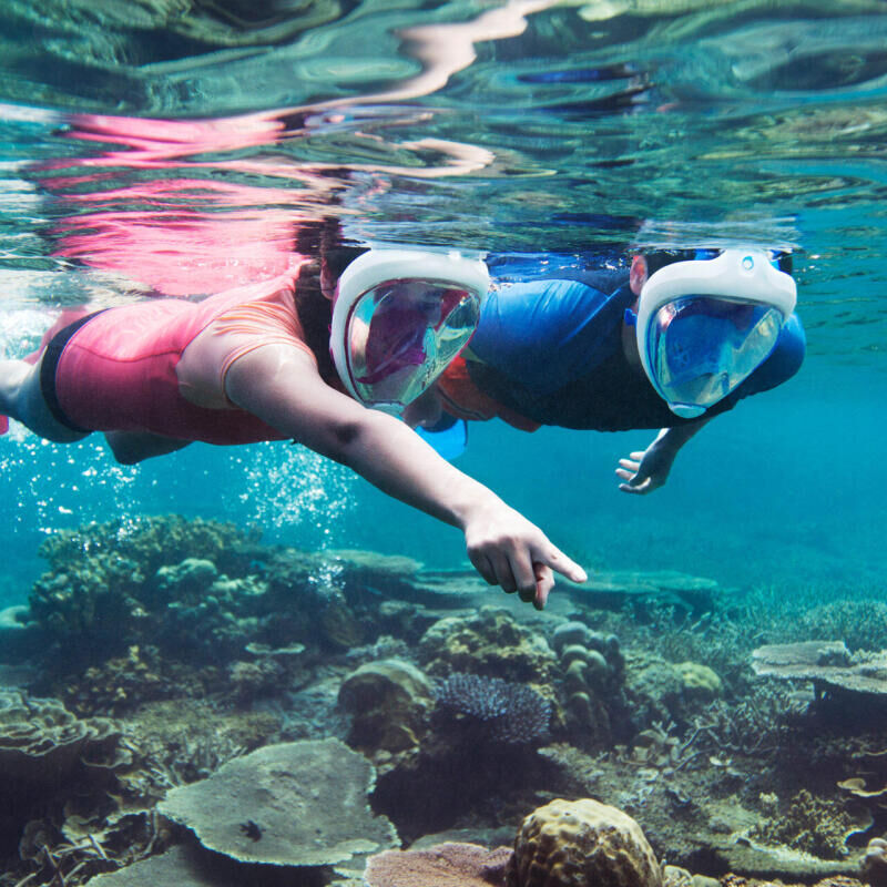 À descoberta dos gestos ecológicos no snorkeling