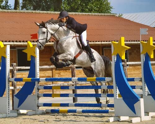 Equitation : les 3 grandes disciplines équestres de compétition