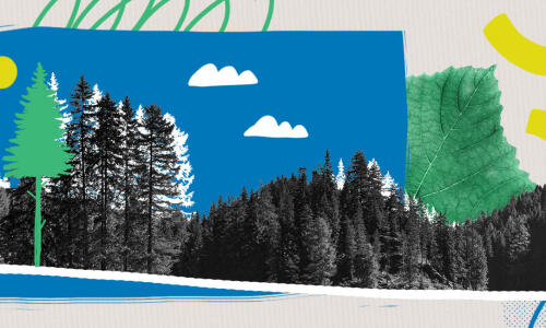 Colagem com vários desenhos que representa uma floresta