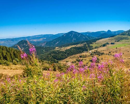 Top 5 hiking routes in Auvergne-Rhône-Alpes